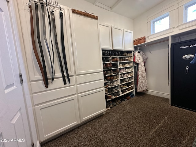 spacious closet featuring dark colored carpet