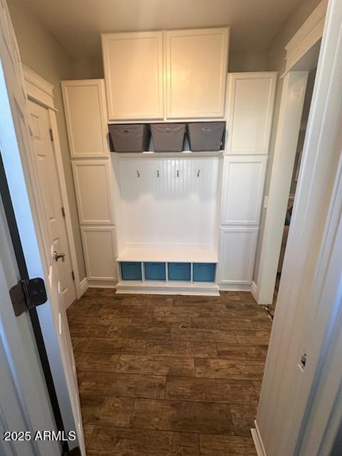 mudroom with dark wood-type flooring