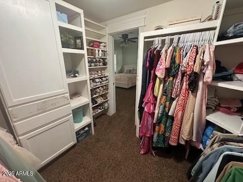 spacious closet featuring carpet