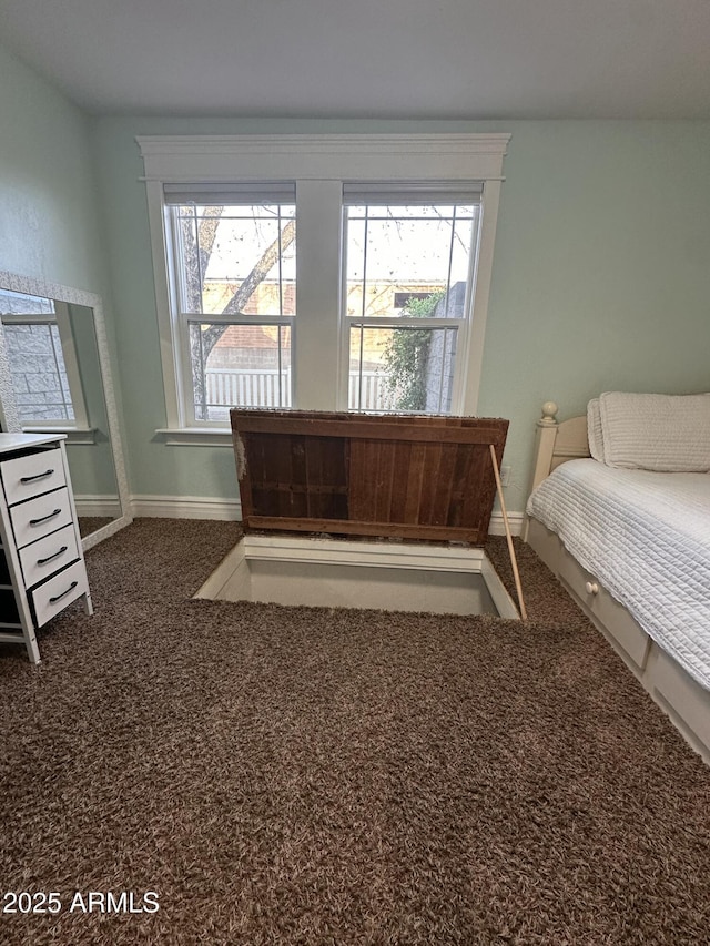 bedroom with carpet floors, baseboards, and multiple windows