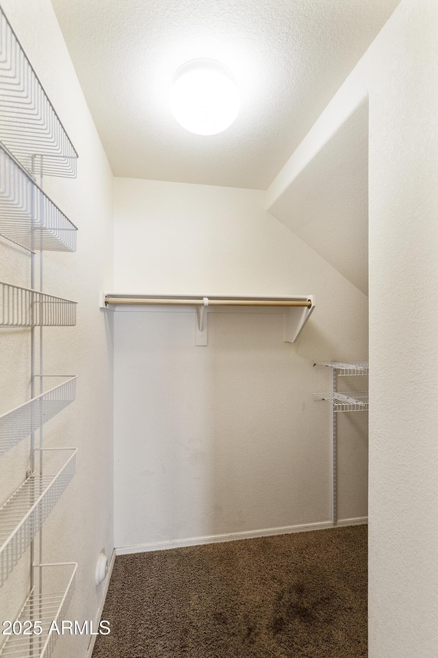 spacious closet featuring carpet