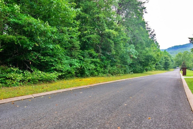 view of road