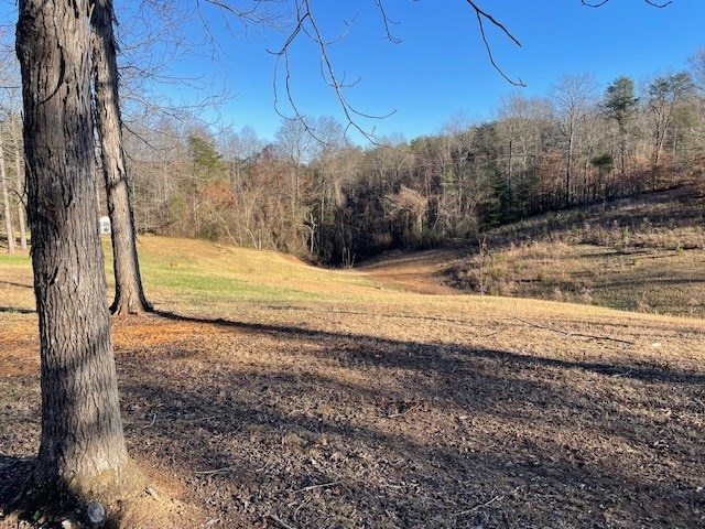 view of local wilderness