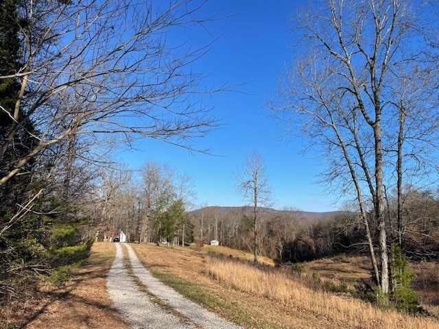 view of road with driveway