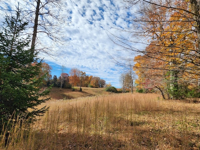 view of landscape