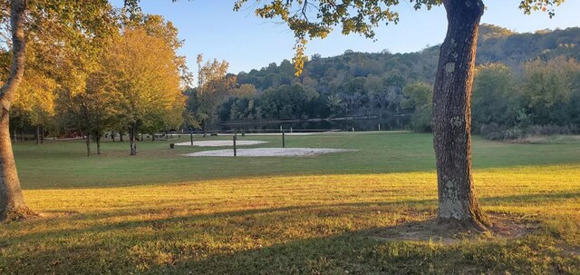 view of home's community featuring a forest view, volleyball court, and a yard