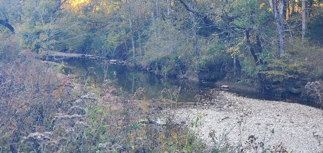 view of local wilderness featuring a view of trees