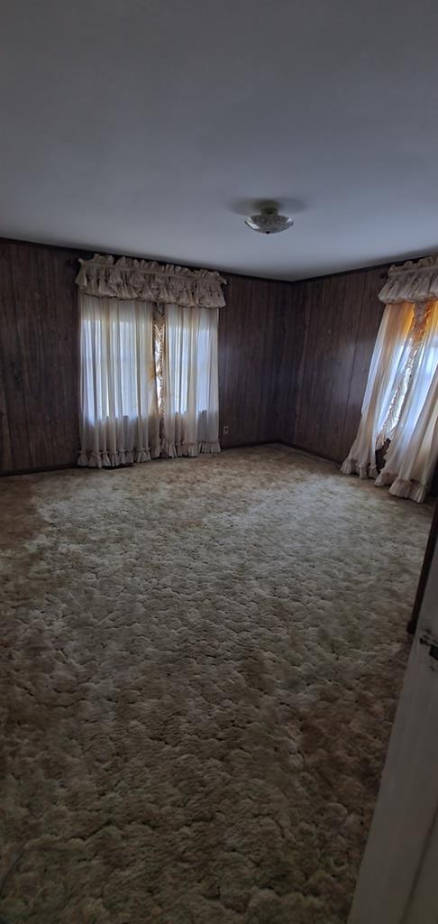 carpeted spare room with wooden walls