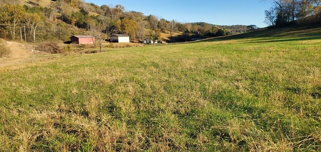 view of yard featuring a rural view