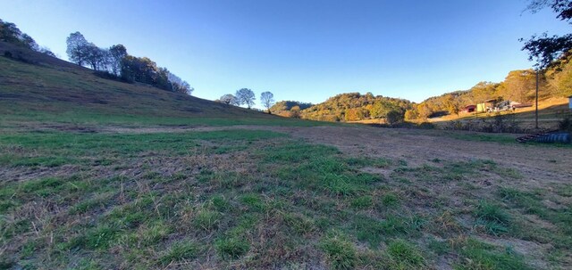 view of yard with a rural view