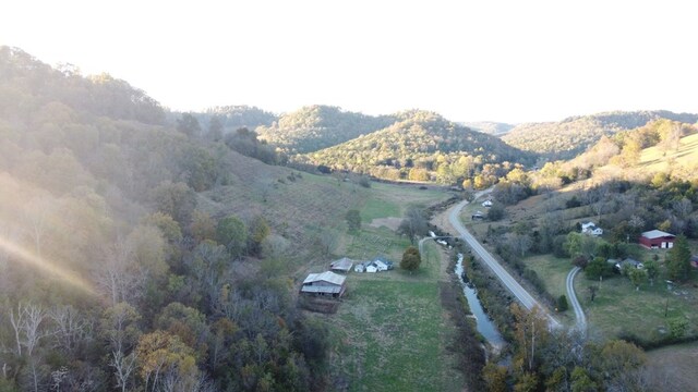 birds eye view of property with a rural view and a mountain view