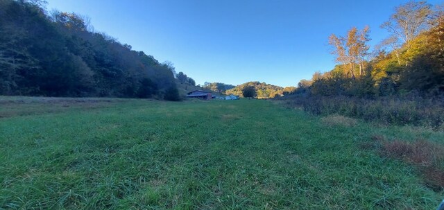 view of yard featuring a rural view