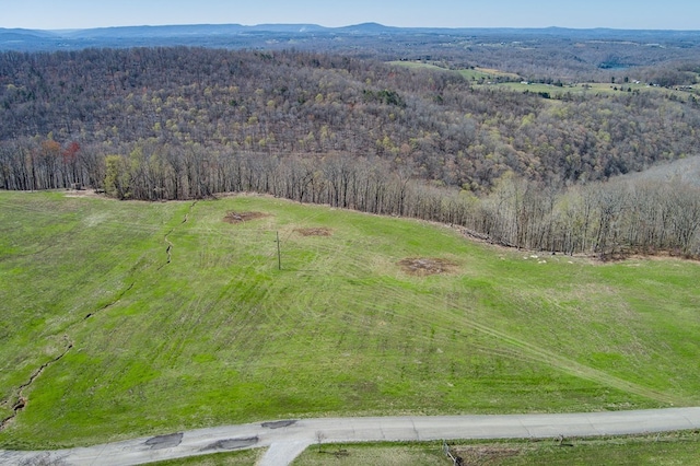 Listing photo 3 for 38.8AC Anderson Rd, Byrdstown TN 37067