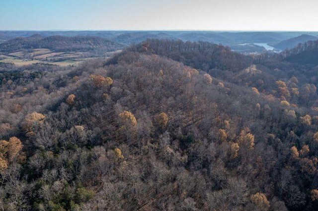 aerial view featuring a mountain view and a view of trees