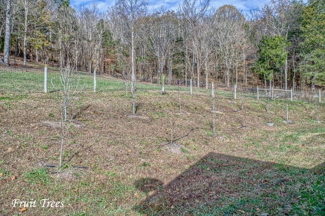 view of yard featuring fence and a view of trees