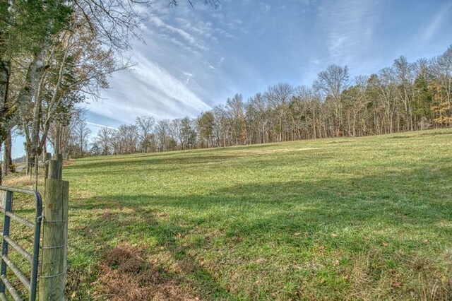 view of yard featuring a rural view