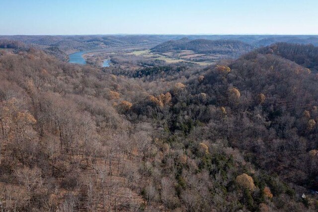 drone / aerial view with a water view and a wooded view