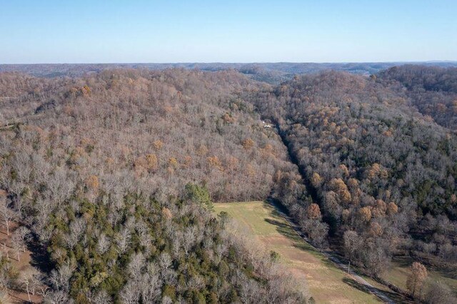 drone / aerial view with a view of trees