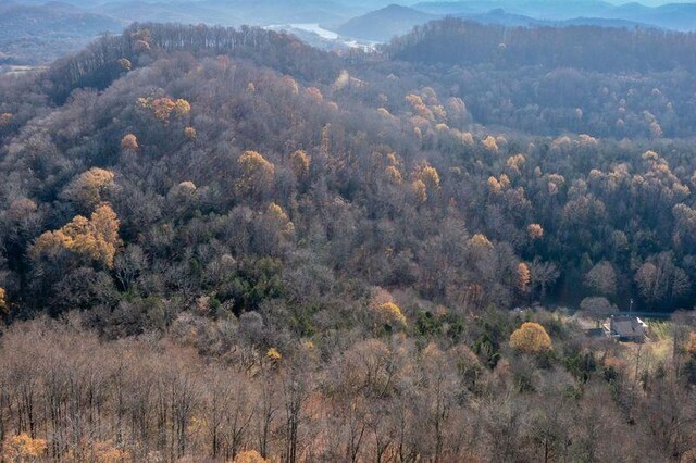 property view of mountains with a wooded view