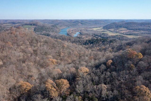 bird's eye view featuring a water view and a forest view