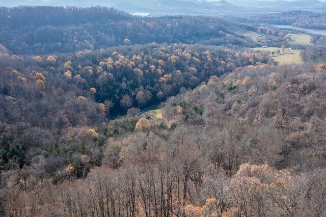 drone / aerial view featuring a forest view and a mountain view