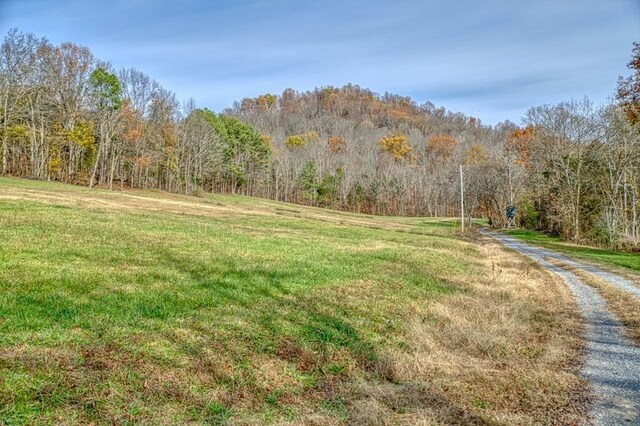 view of yard with a forest view