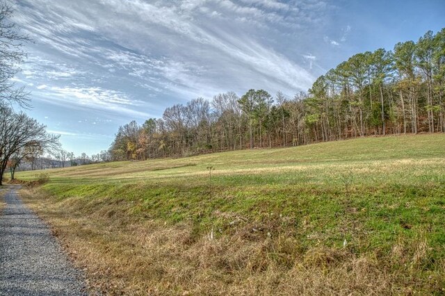 view of local wilderness