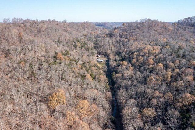 bird's eye view with a forest view