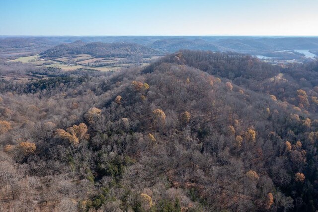 bird's eye view featuring a forest view