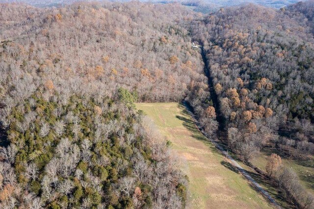 bird's eye view with a view of trees