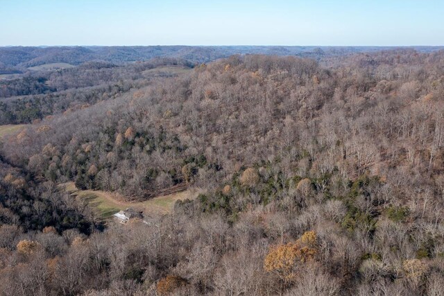 bird's eye view with a view of trees