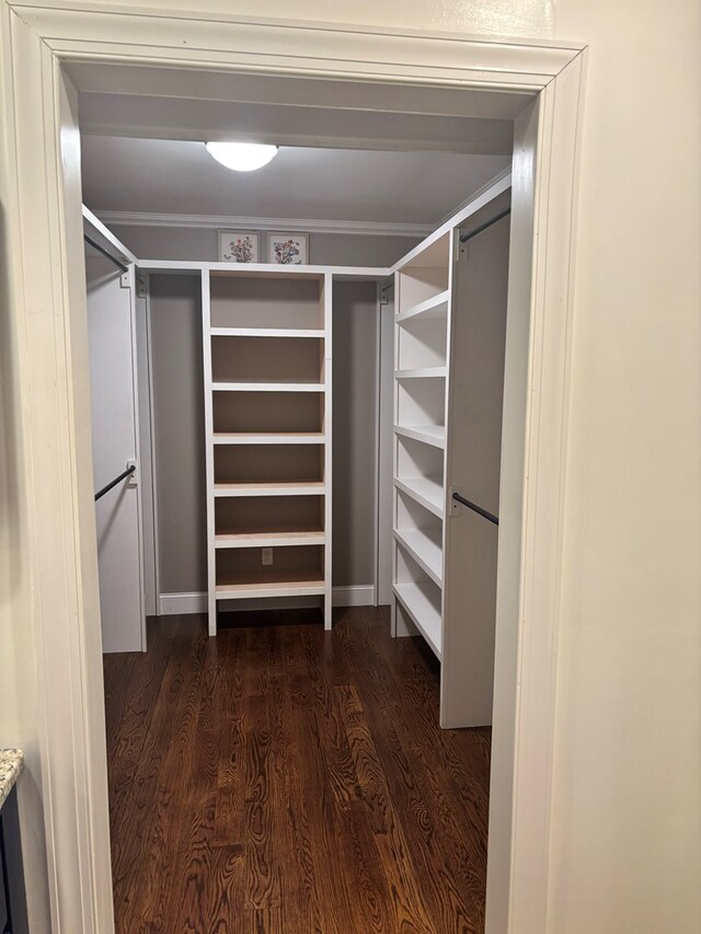 walk in closet featuring dark wood-style flooring