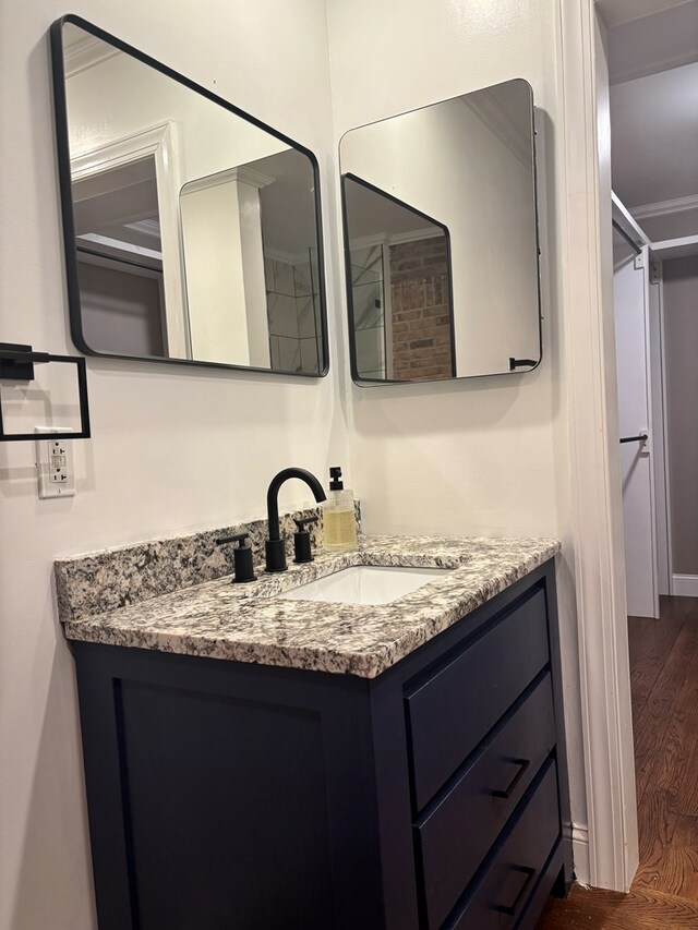 bathroom featuring wood finished floors and vanity