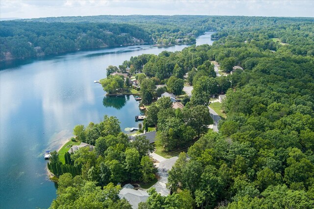 bird's eye view featuring a water view and a forest view