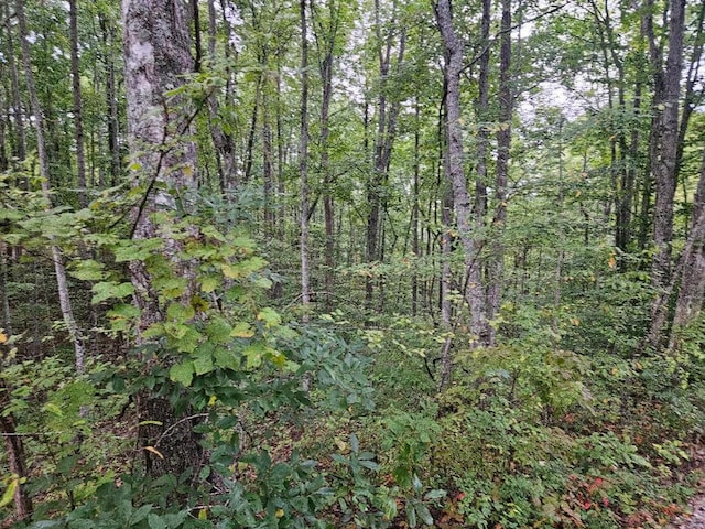 Listing photo 2 for 00 Sells Cemetery Rd, Wilder TN 38589