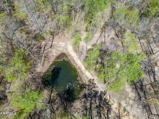 birds eye view of property featuring a water view and a view of trees