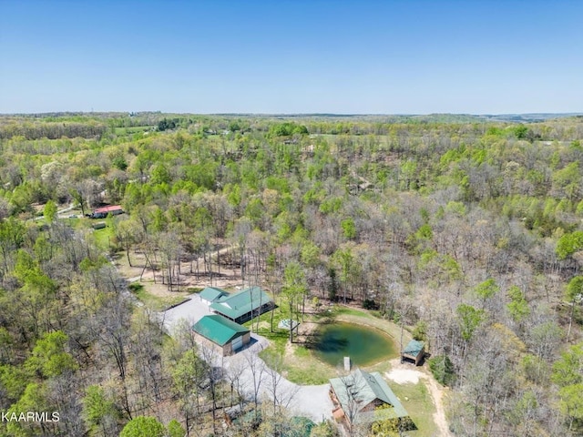 aerial view with a forest view