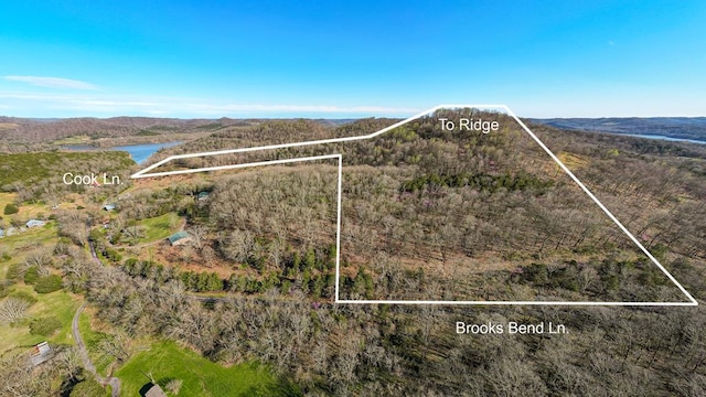 00 Cook Ln, Gainesboro TN, 38562 land for sale