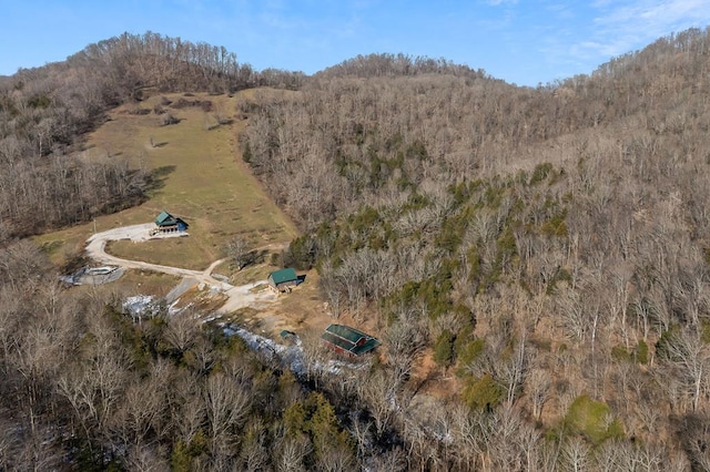 aerial view with a forest view