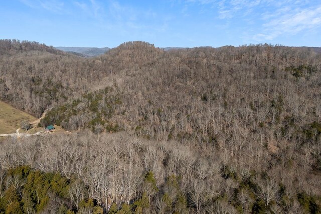 mountain view featuring a view of trees