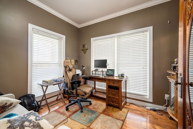 office space featuring a wealth of natural light, crown molding, and light wood-style floors