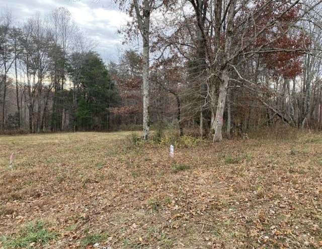 000 Ralph Spivey Ln, Gainesboro TN, 38562 land for sale