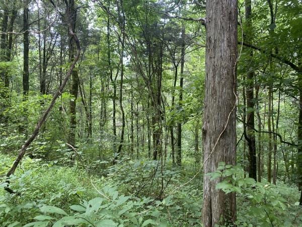 LOT34 Eagle Rdg, Granville TN, 38564 land for sale