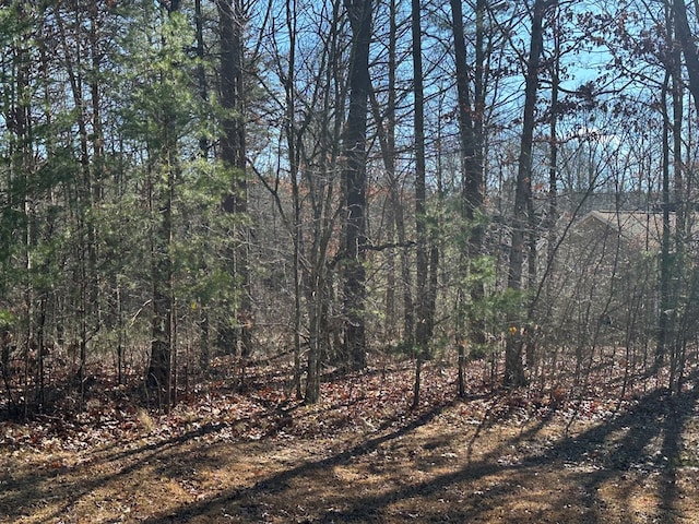 Listing photo 2 for 00 Forest View Dr, Sparta TN 38585