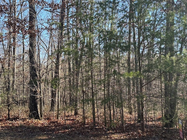 Listing photo 3 for 00 Forest View Dr, Sparta TN 38585