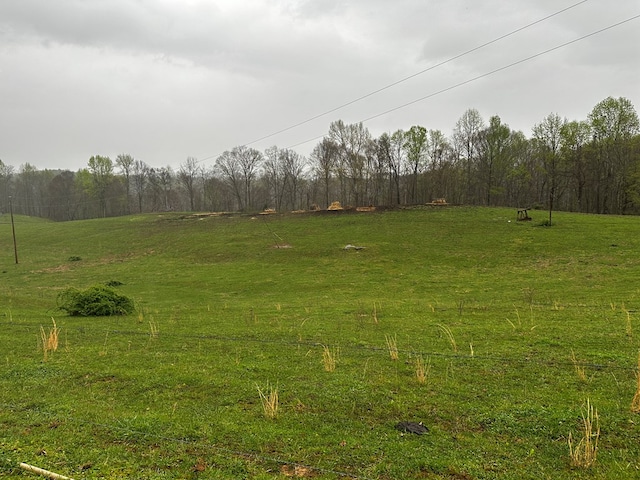 Listing photo 3 for 43.36AC Winningham Rd, Byrdstown TN 38549