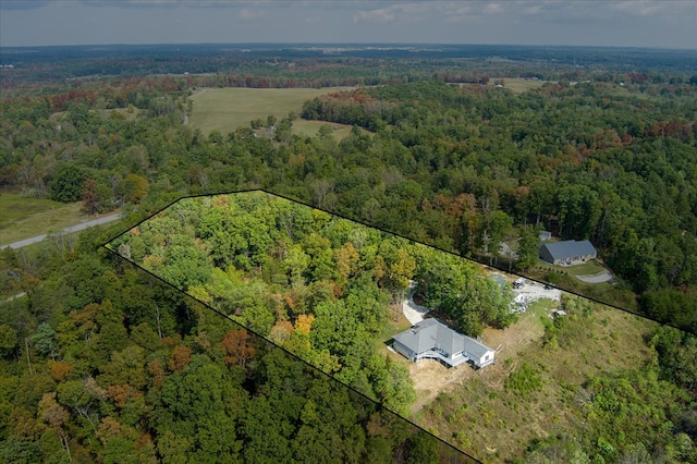 aerial view with a view of trees