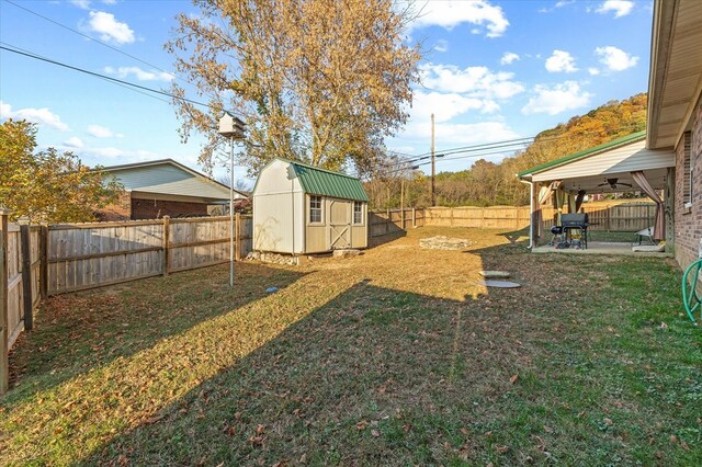 view of yard featuring a fenced backyard, a storage unit, a patio, and an outdoor structure