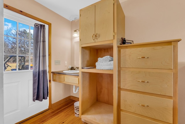 interior space featuring baseboards, a sink, and wood finished floors