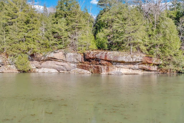 property view of water with a wooded view